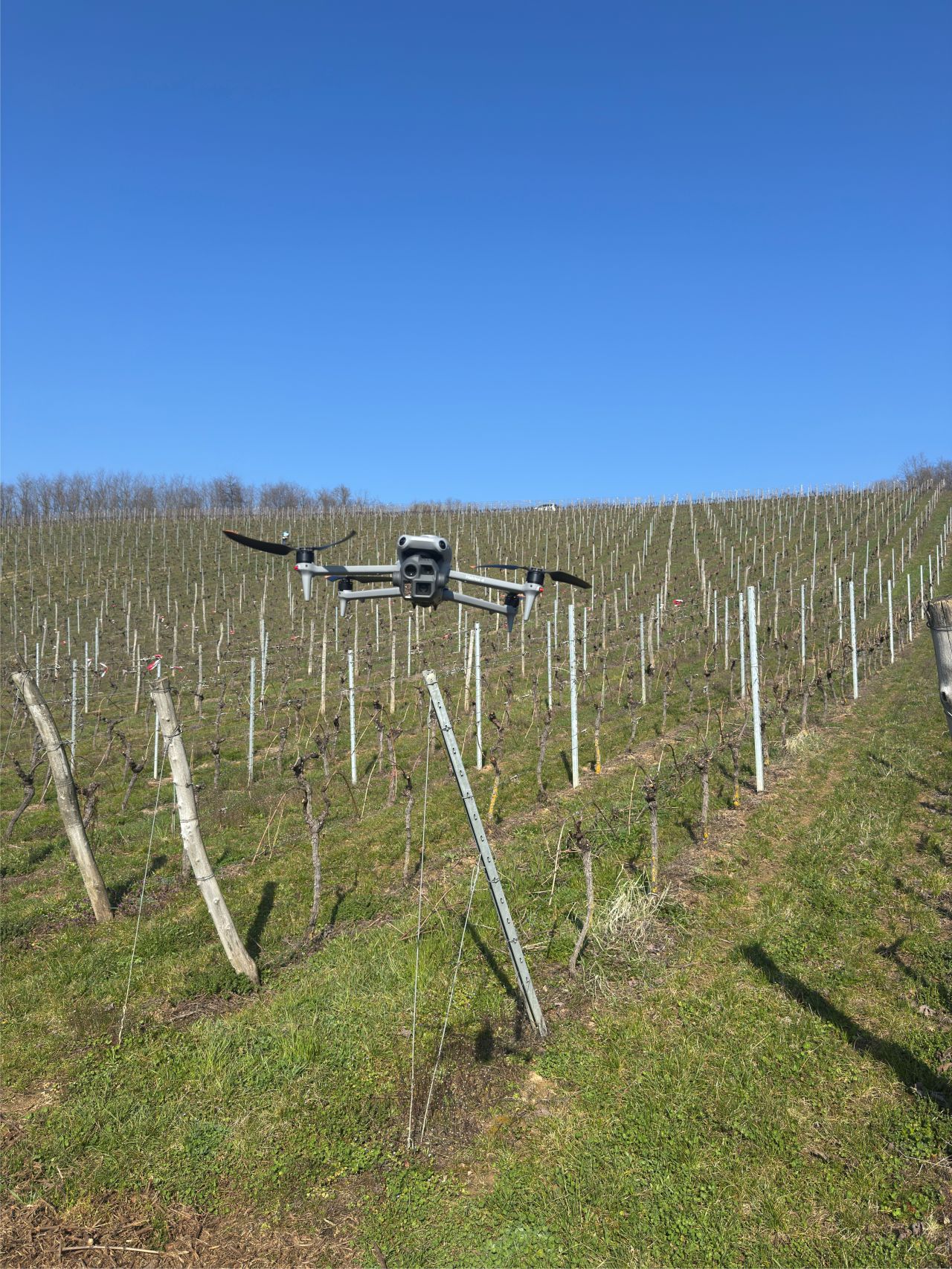 Inspection vigne Alsace